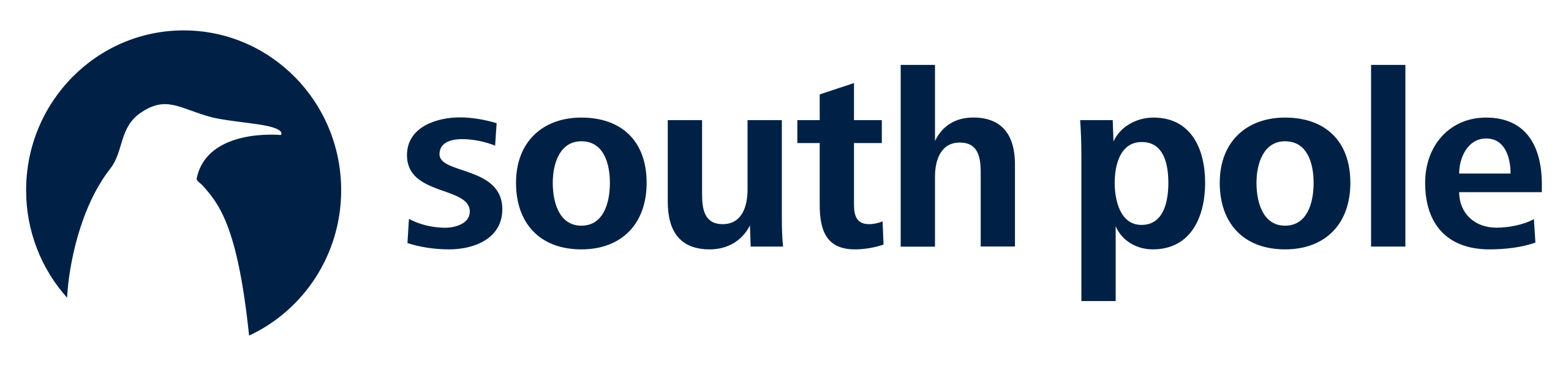 South Pole Logo